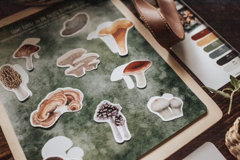 Mycology & Herbology Patchwork Study