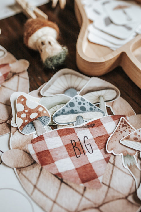 Mycology & Herbology Morning Basket