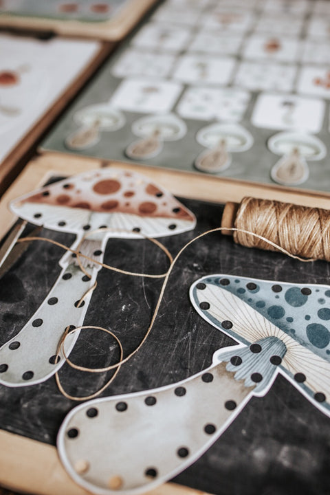 Mycology & Herbology Morning Basket