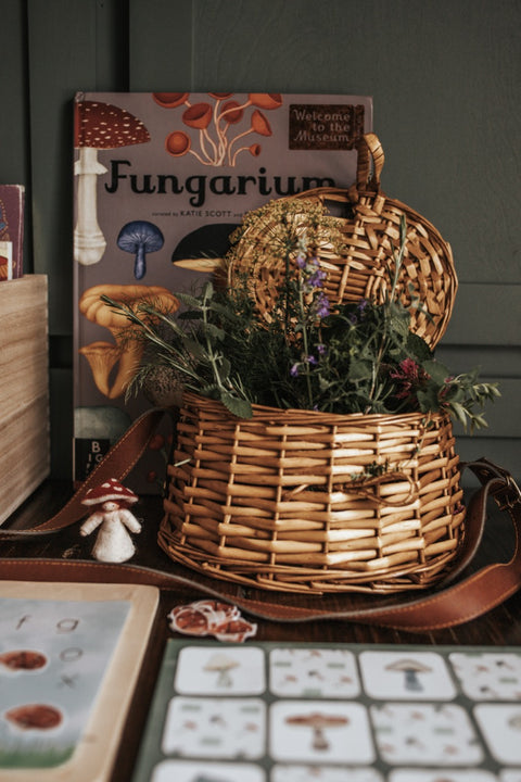 Mycology & Herbology Morning Basket