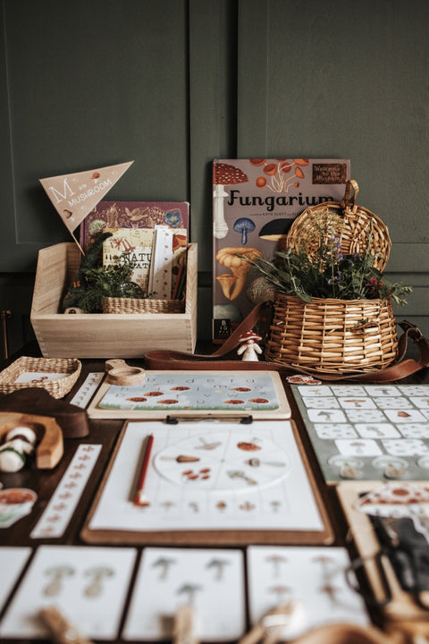 Mycology & Herbology Morning Basket