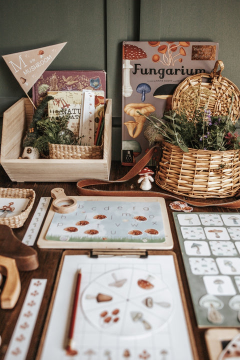 Mycology & Herbology Morning Basket