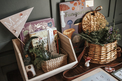 Mycology & Herbology Morning Basket