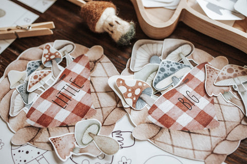 Mycology & Herbology Morning Basket