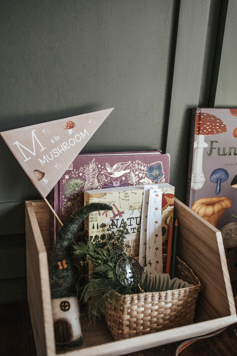 Mycology & Herbology Morning Basket