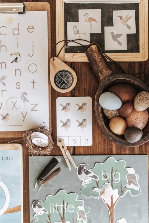 Ornithology Morning Basket