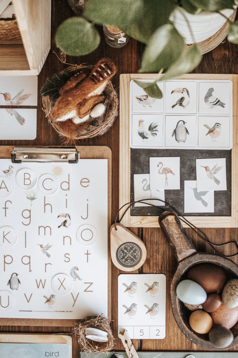 Ornithology Morning Basket