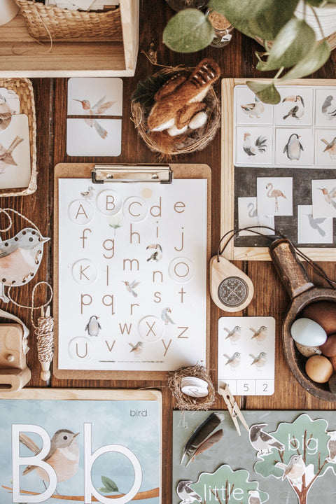 Ornithology Morning Basket