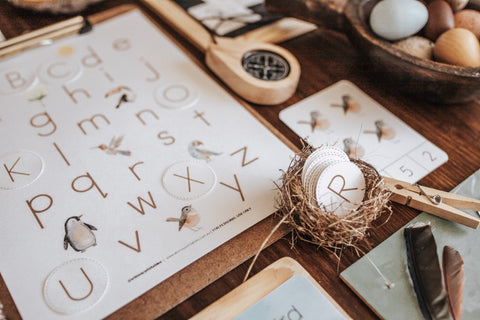 Ornithology Morning Basket