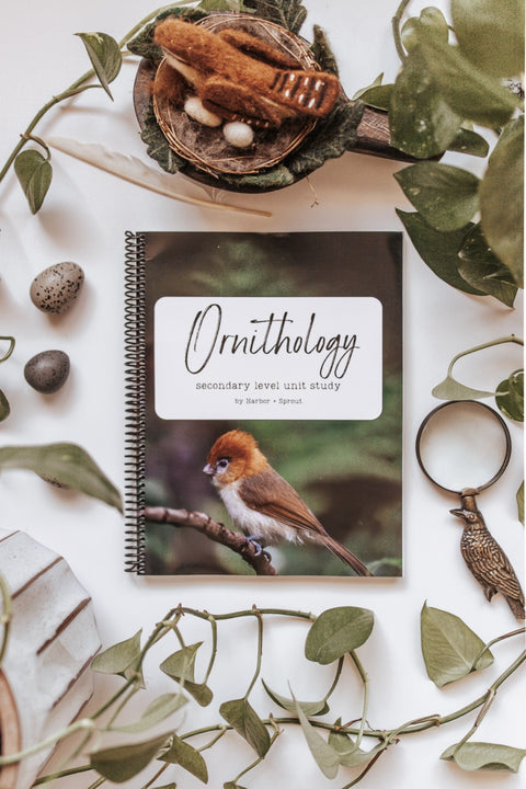 PRINT Ornithology Secondary Level Unit Study