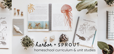 harbor and sprout homeschool curriculum and resources